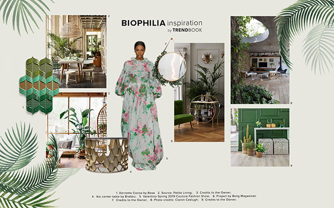 Moodboard Trends 2020 Biophilia