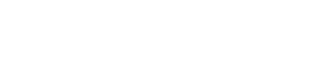 Maison Valentina logo